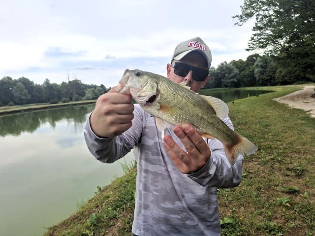 bass tugonica 3