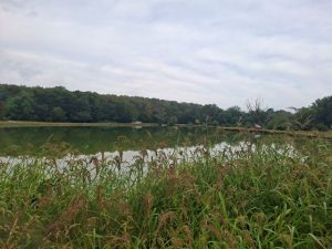 jezero tugonica ulovi i pusti 1
