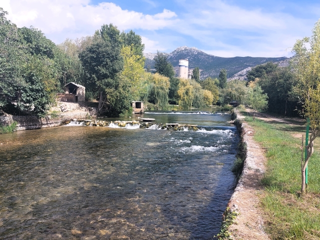 jadro 1 8