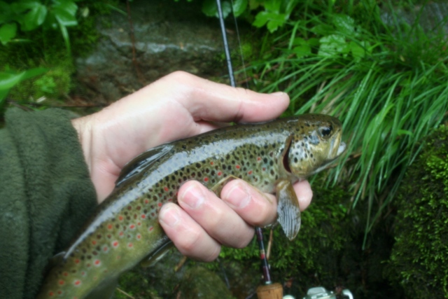 Fishing Club Zagorje - 6. klupsko natjecanje 10