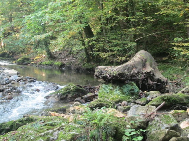 GRAČNICA - "RIJEKA SJEČANJA" 32