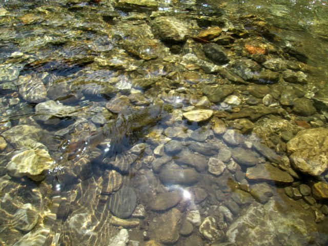 Hudinja fly rock fishing 33