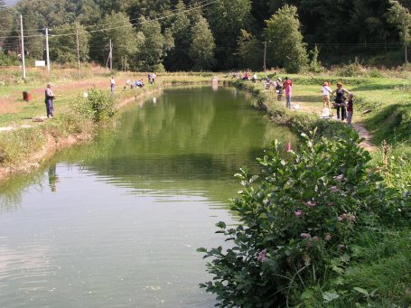 Jaševnica Kostanjevac44