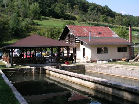 Jaševnica Kostanjevac55
