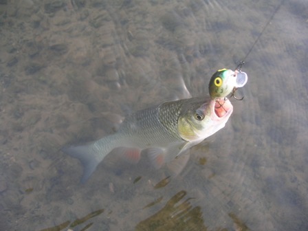 Krapina Krapina4b