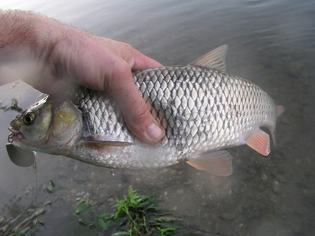 Krapina Krapina4d