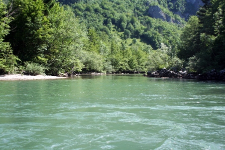 Kupa fly fishing Kfly1