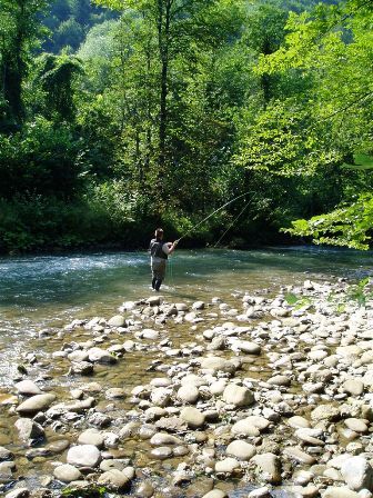 Kupica fly fishing Kupica1f