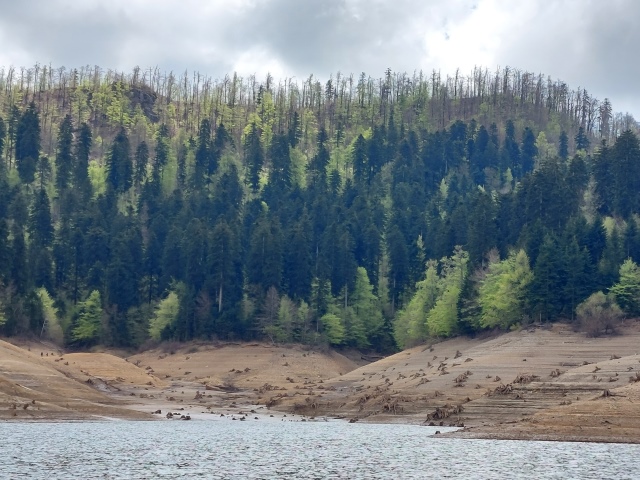 LOKVARSKO JEZERO - ATRAKTIVNO LJETO 8