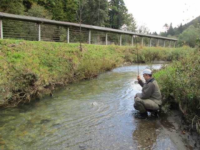 Nevljica - fly rock fishing u Sloveniji 10