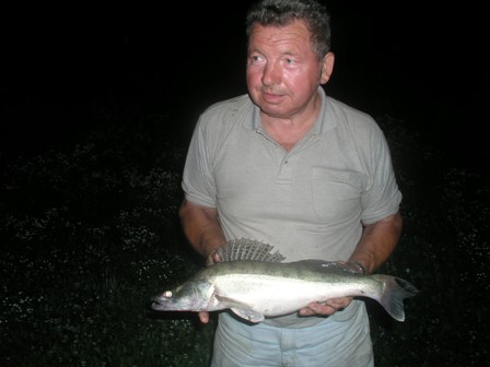Sava Sava10d