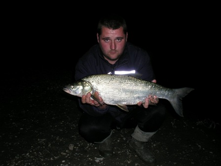 Sava Sava13d
