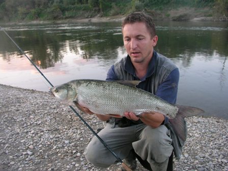 Sava Sava13e