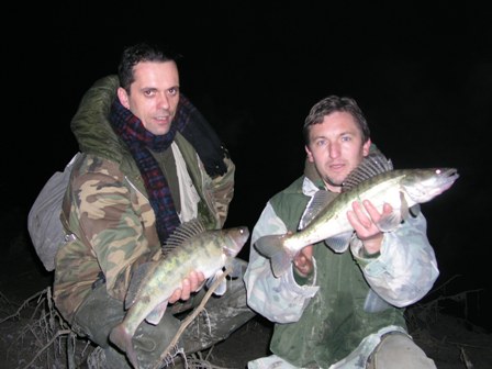 Sava Sava3cc
