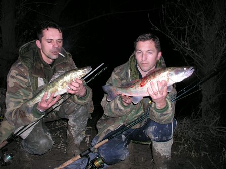 Sava Sava4e