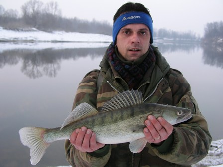 Sava Sava7b