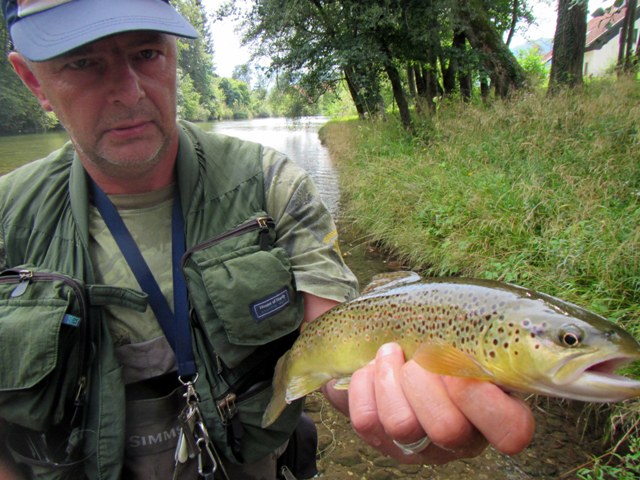 SAVINJSKI RAJ - U GOSTIMA KOD RD LJUBNO 18