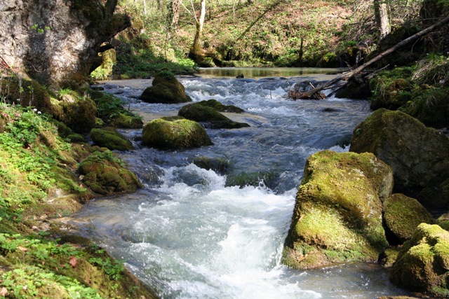 Slapnica fly fishing 19
