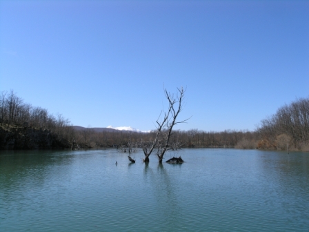 Štikada Stikada1c