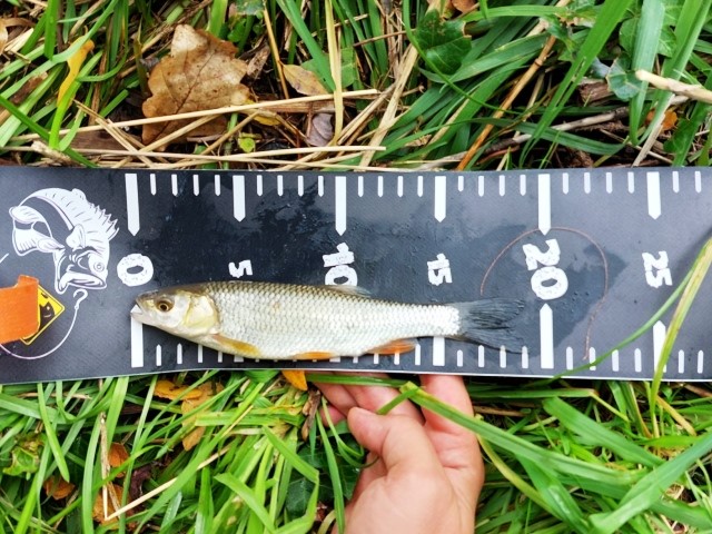 Urban street fishing Krapina 2022 6