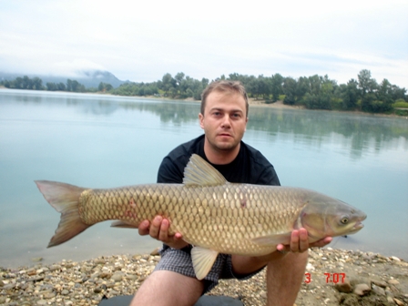 Zajarki Zajarki2c