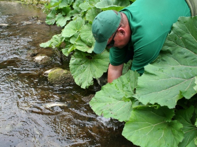 Druženje na Čabranci Rib9